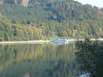 Hennesee