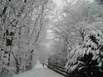 Winterwanern in Lennestadt und Kirchhundem