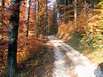 Endlose Wanderwege im Naturpark Arnsberger Wald