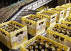 Warsteiner: Abfüllung