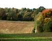 Herbst im Sauerland