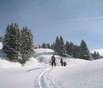 Wintersport in Schmallenberg