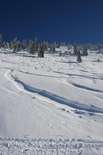 Spuren im Schnee