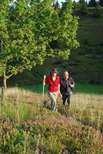 Wanderer in Hallenbergs Heidelandschaft