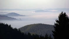 Nebel im Sauerland