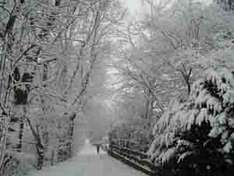 Winterwanern in Lennestadt und Kirchhundem