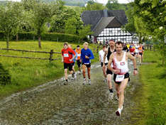 Rothaarsteiglauf
