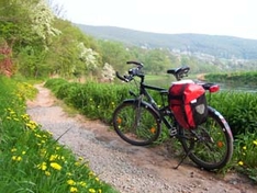 Mountainbiking als Natursport Mountainbiking als Natursport
