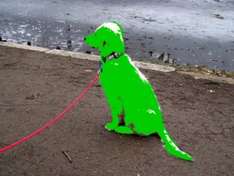 grüner Hund