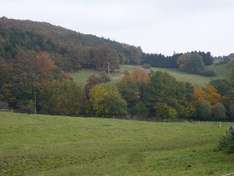 Bald wieder weiß.. Wiesen im Sauerland