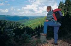 Rothaarsteig-Ausblick