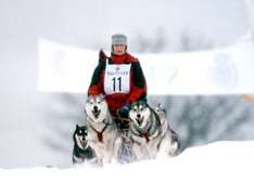 Husky Rennen