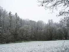 Erster Schnee im Sauerland