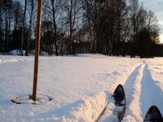 Kids on Snow Festival 20111