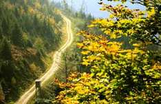 Sauerland-Waldroute wird im Mai eröffnet