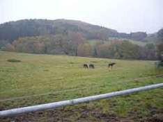 Olsberg im Sauerland
