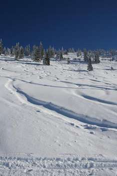 Spuren im Schnee