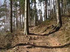 Wandern im Sauerland