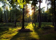 Wandergasthöfe sind 2011 gut gerüstet