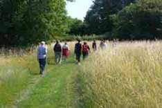 Wanderer in Medebach