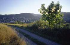 Wanderwege im Sauerland