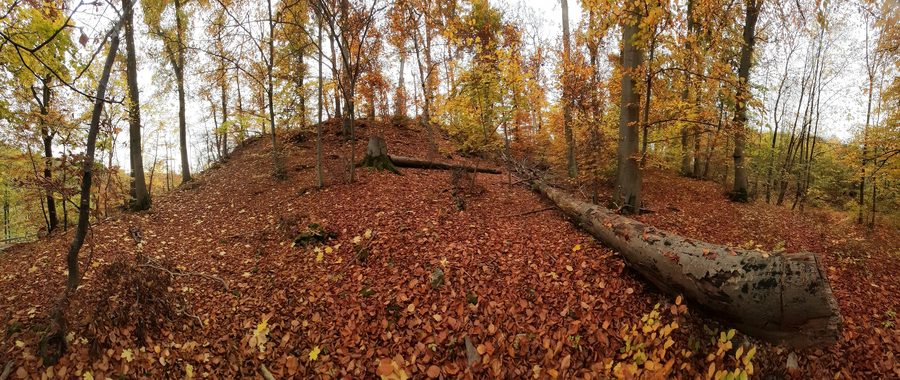 Blick vom Vorburg-Plateau auf den Südteil des Burgstalls der Oberen Burg in Obernburg bei Vöhl