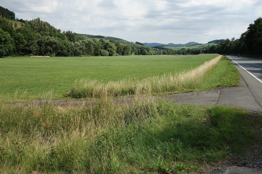 Grünland und Berge nördlich von Gellinghausen am Gellinghauser Bach