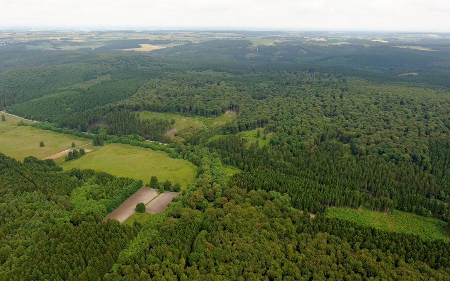 Bibertal im Rüthener Stadtforst mit Wald und Wiesental