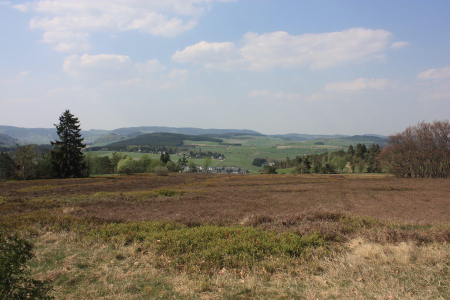 Blick vom Kahlen Pön über Teile von Usseln und die umliegenden Höhenzüge