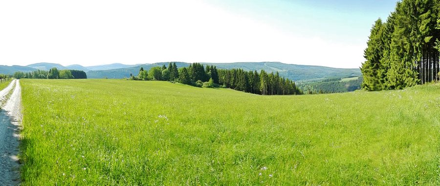 Offenlandschaft mit Wald bei Züschen im Naturpark Rothaargebirge