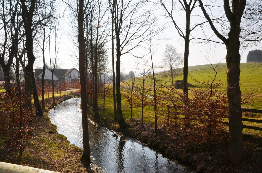 Die Aa bei der 3. Aamühle in Brilon