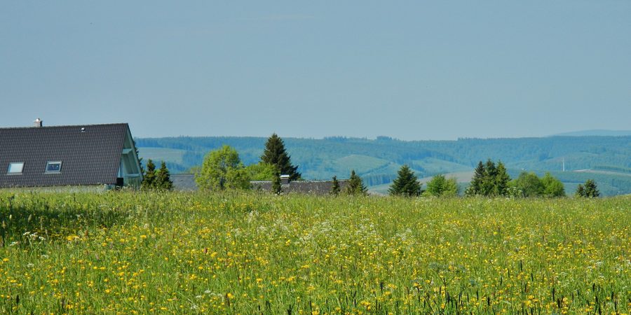 Landschaft im Naturpark Rothaargebirge