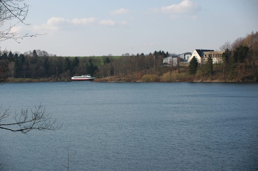 Blick auf den Hennesee bei Meschede mit bewaldeten Ufern