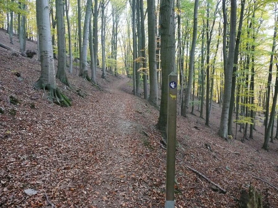 Panoramablick auf die Landschaft des Nationalparks Kellerwald-Edersee