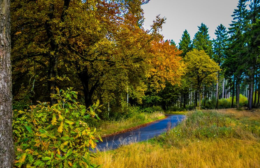 Herbstliche Landschaft im Ebbegebirge bei der Nordhelle im Sauerland