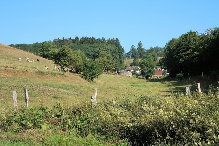 Blick auf den Attendorner Ortsteil Bürberg