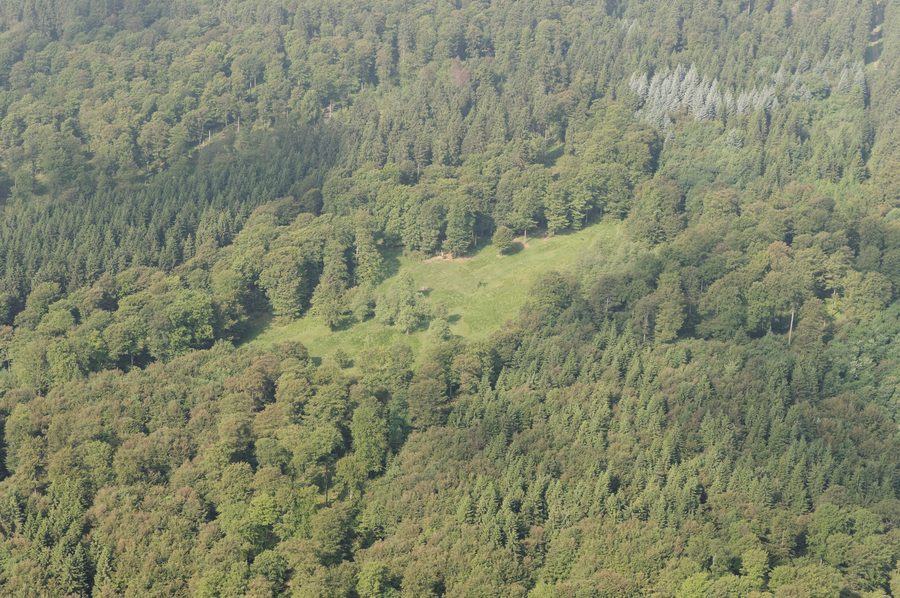 Waldlandschaft mit dem Hochmoor Nasse Wiese bei Schmallenberg-Bödefeld