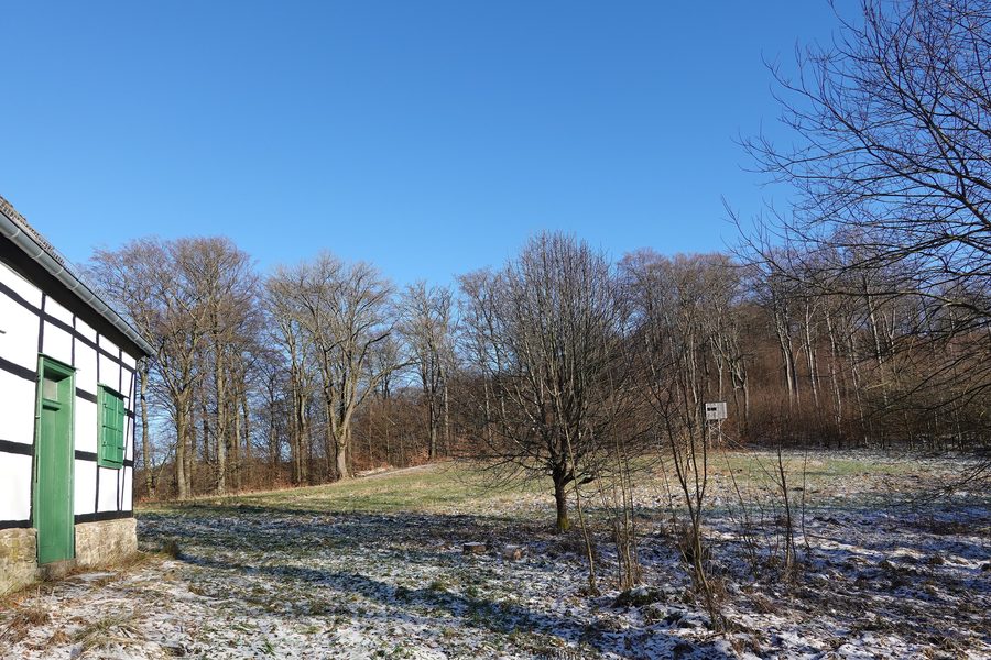 Blick vom Vogelsberg im Balver Wald Richtung Osten