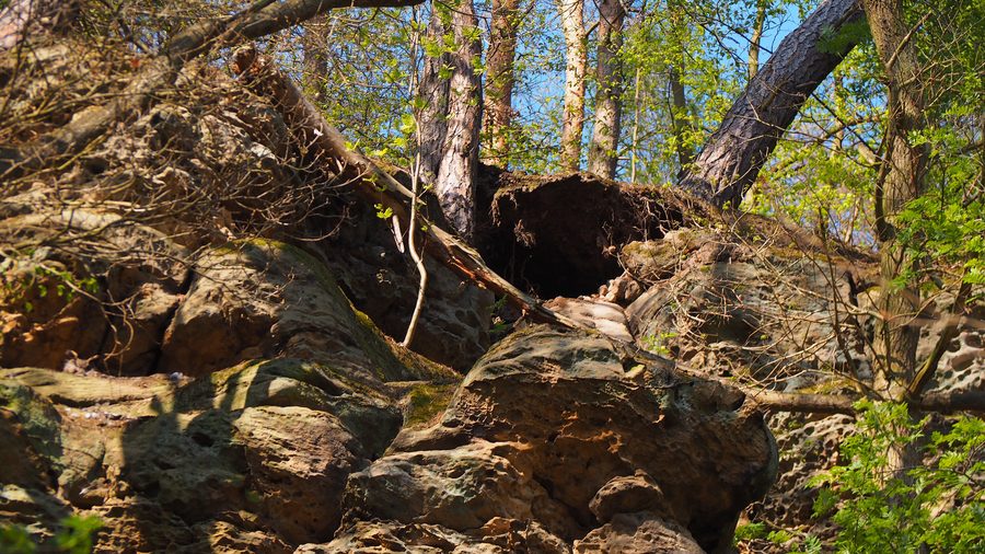Felsenlandschaft der Hollenkammer bei Lütersheim