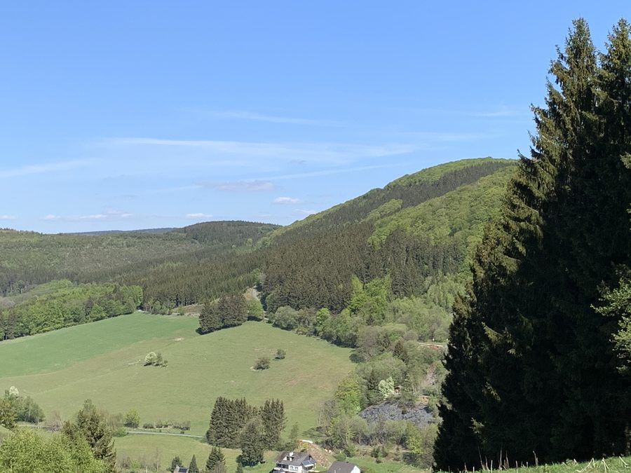 Blick auf den Gipfel der Nordhelle oberhalb von Silbach