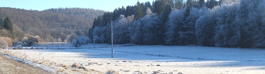 Linsphertal nahe dem Silbersee bei Bromskirchen im Winter