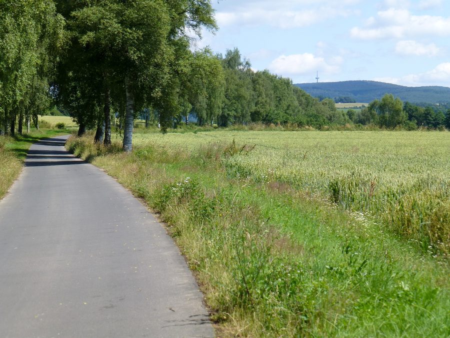 Ohm-Eder-Radweg südlich von Gemünden mit Blick nordwärts zum Hohen Lohr