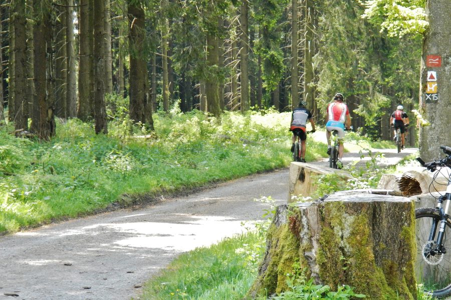 Wanderweg am Sauerland-Höhenflug