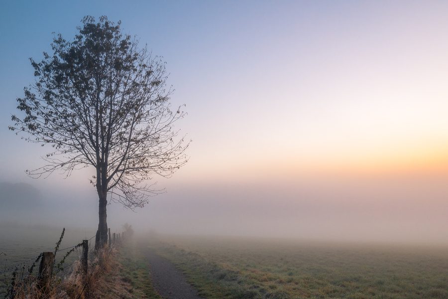Nebelige, bewaldete Landschaft im Sauerland
