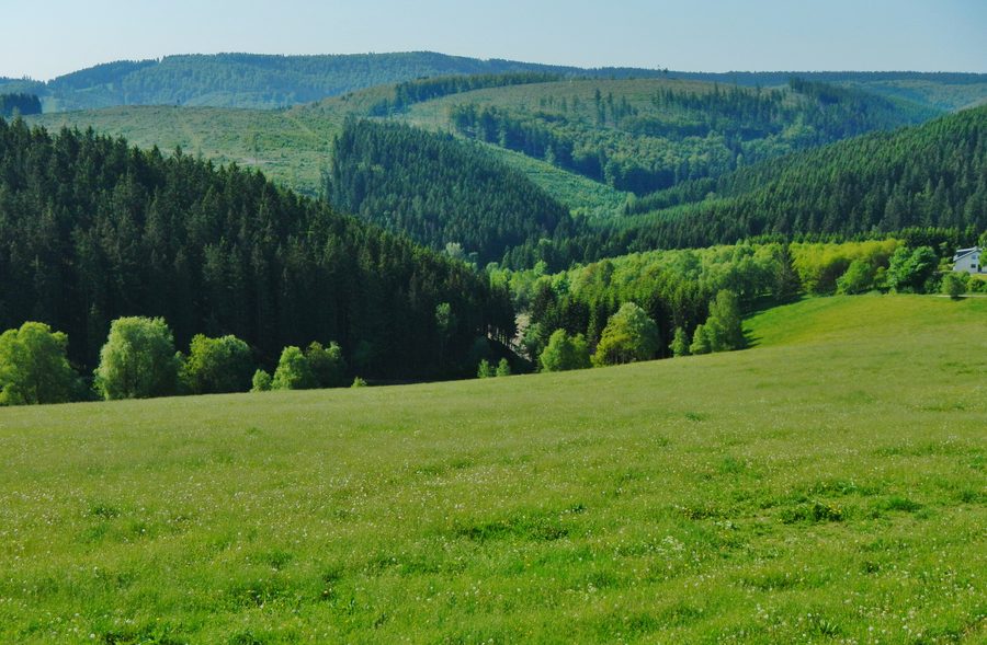 Grünland und Wald im Naturpark Rothaargebirge