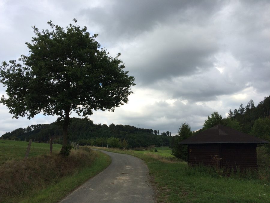 Radweg an der Buhtal-Hütte zwischen Bömighausen und Rhena