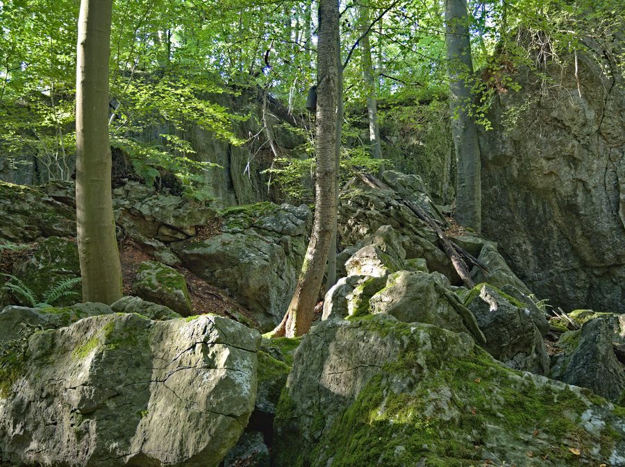 Kalksteinformationen im Naturschutzgebiet Felsenmeer in Hemer