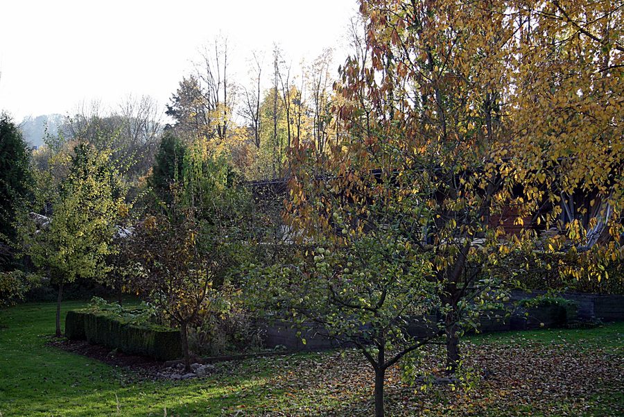 Schloss Alme mit der Landschaft hinter der Alme