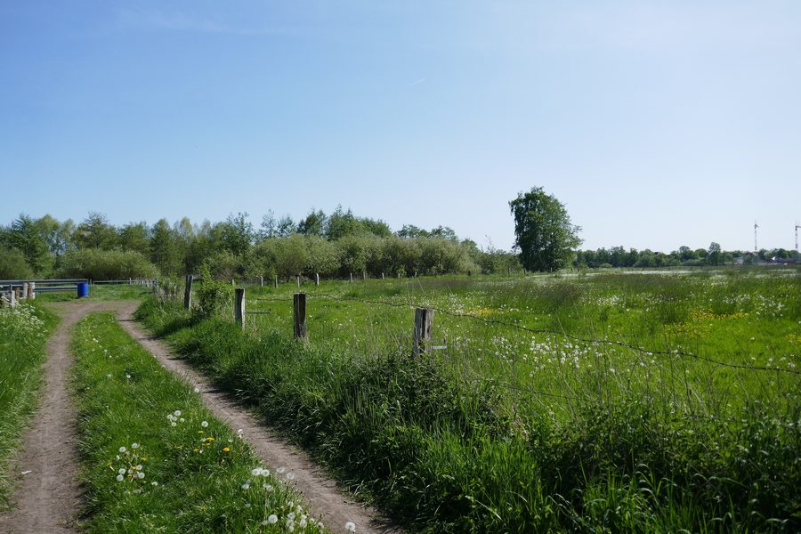 Naturschutzgebiet Lippeaue Lipperode–Esbeck bei Lippstadt
