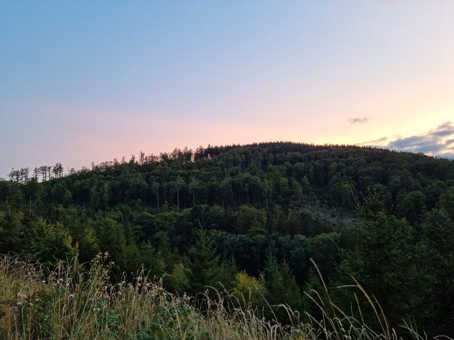Blick vom Waldweg am Koppen auf den Dommel
